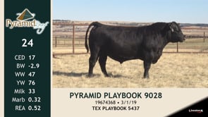 Lot #24 - PYRAMID PLAYBOOK 9028