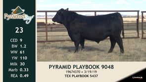 Lot #23 - PYRAMID PLAYBOOK 9048