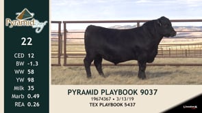 Lot #22 - PYRAMID PLAYBOOK 9037