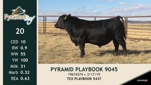 Lot #20 - PYRAMID PLAYBOOK 9045