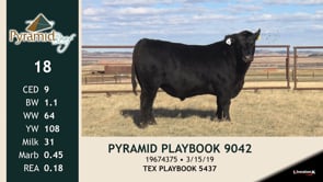 Lot #18 - PYRAMID PLAYBOOK 9042