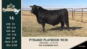 Lot #16 - PYRAMID PLAYBOOK 9038