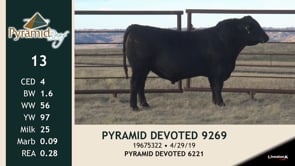 Lot #13 - PYRAMID DEVOTED 9269