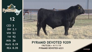 Lot #12 - PYRAMID DEVOTED 9209