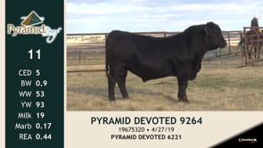Lot #11 - PYRAMID DEVOTED 9264
