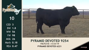 Lot #10 - PYRAMID DEVOTED 9254