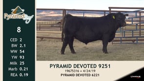 Lot #8 - PYRAMID DEVOTED 9251