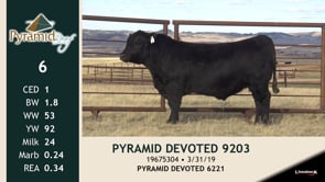 Lot #6 - PYRAMID DEVOTED 9203 -OUT-