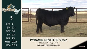 Lot #5 - PYRAMID DEVOTED 9252