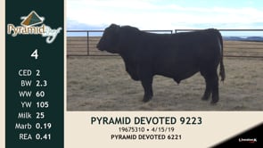 Lot #4 - PYRAMID DEVOTED 9223