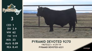 Lot #3 - PYRAMID DEVOTED 9270