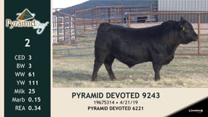 Lot #2 - PYRAMID DEVOTED 9243