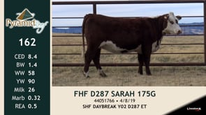 Lot #162 - FHF D287 SARAH 175G