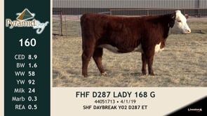 Lot #160 - FHF D287 LADY 168 G