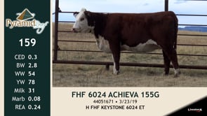Lot #159 - FHF 6024 ACHIEVA 155G