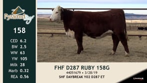 Lot #158 - FHF D287 RUBY 158G