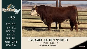 Lot #152 - PYRAMID JUSTIFY 9140