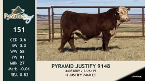 Lot #151 - PYRAMID JUSTIFY 9148