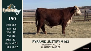 Lot #150 - PYRAMID JUSTIFY 9163