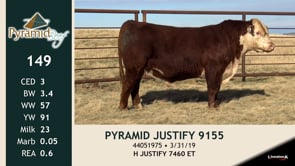 Lot #149 - PYRAMID JUSTIFY 9155