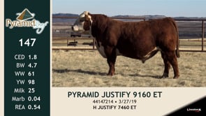Lot #147 - PYRAMID JUSTIFY 9160 ET