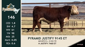 Lot #146 - PYRAMID JUSTIFY 9145