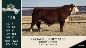 Lot #145 - PYRAMID JUSTIFY 9136