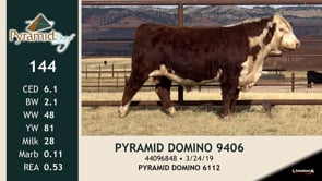 Lot #144 - PYRAMID DOMINO 9406