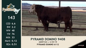 Lot #143 - PYRAMID DOMINO 9408