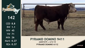 Lot #142 - PYRAMID DOMINO 9411