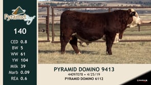 Lot #140 - PYRAMID DOMINO 9413