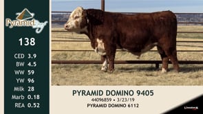 Lot #138 - PYRAMID DOMINO 9405