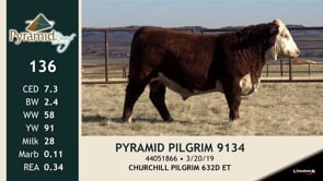 Lot #136 - PYRAMID PILGRIM 9134