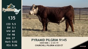 Lot #135 - PYRAMID PILGRIM 9145