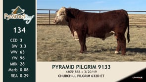 Lot #134 - PYRAMID PILGRIM 9133