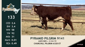 Lot #133 - PYRAMID PILGRIM 9141