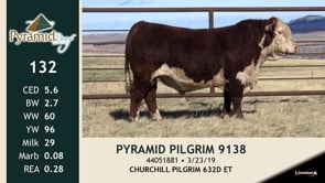 Lot #132 - PYRAMID PILGRIM 9138