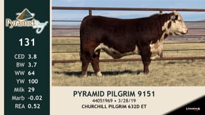 Lot #131 - PYRAMID PILGRIM 9151