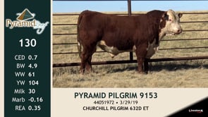 Lot #130 - PYRAMID PILGRIM 9153