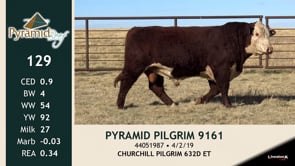 Lot #129 - PYRAMID PILGRIM 9161