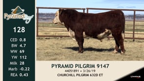 Lot #128 - PYRAMID PILGRIM 9147