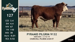 Lot #127 - PYRAMID PILGRIM 9132