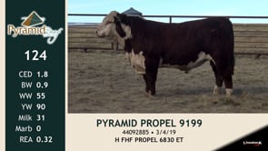 Lot #124 - PYRAMID PROPEL 9199