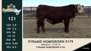 Lot #121 - PYRAMID HOMEGROWN 9179