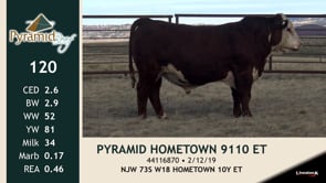 Lot #120 - PYRAMID HOMETOWN 9110