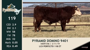 Lot #119 - PYRAMID DOMINO 9401
