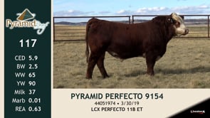 Lot #117 - PYRAMID PERFECTO 9154
