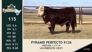 Lot #115 - PYRAMID PERFECTO 9126