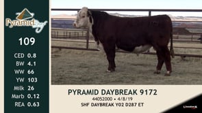 Lot #109 - PYRAMID DAYBREAK 9172