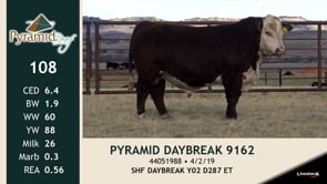 Lot #108 - PYRAMID DAYBREAK 9162